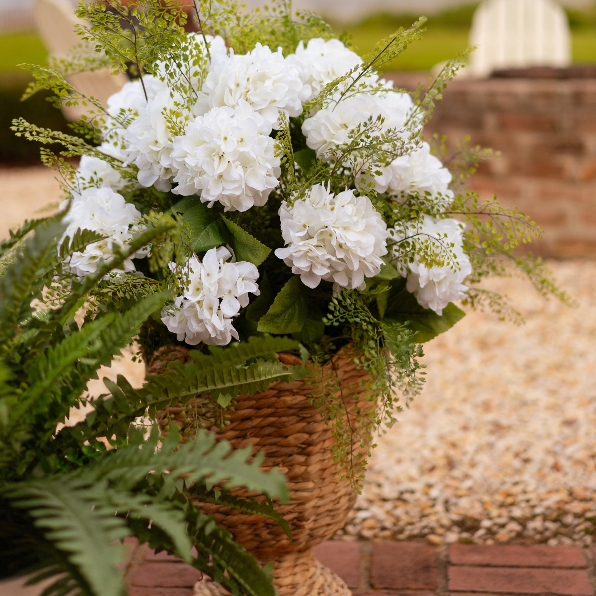 42" White Hydrangea Bush in Natural Hyacinth Basket