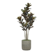 71" Rubber Tree in Cement Gray Ceramic