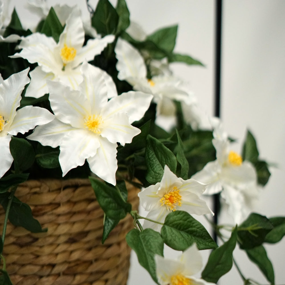 White Faux Clematis Arrangement In Natural Hyacinth Hanging Basket