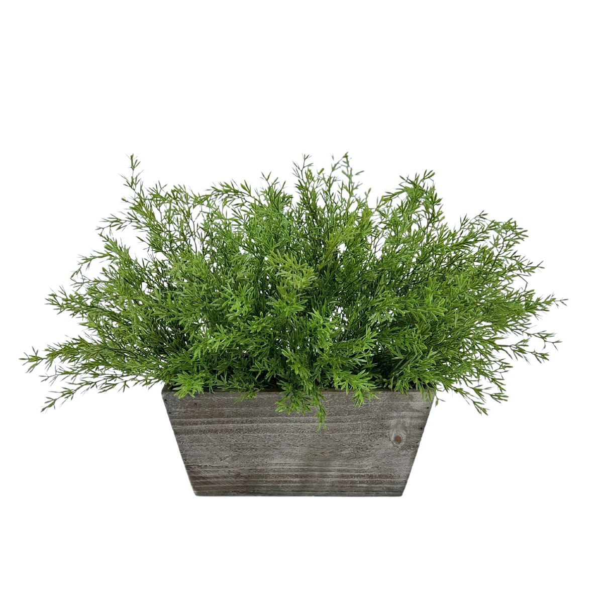 Faux asparagus fern in gray wash wood mini ledge against a white background, by House of Silk Flowers.