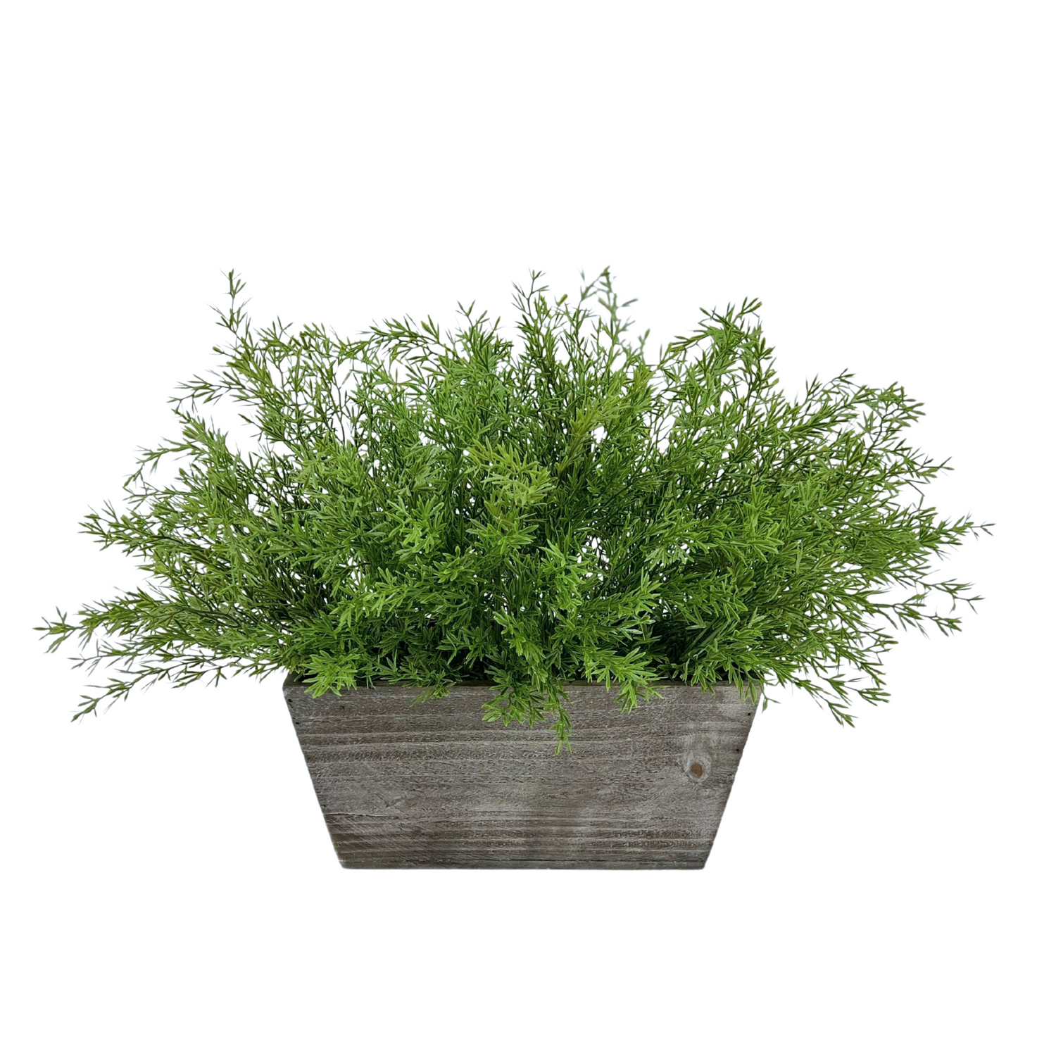 Faux asparagus fern in gray wash wood mini ledge against a white background, by House of Silk Flowers.