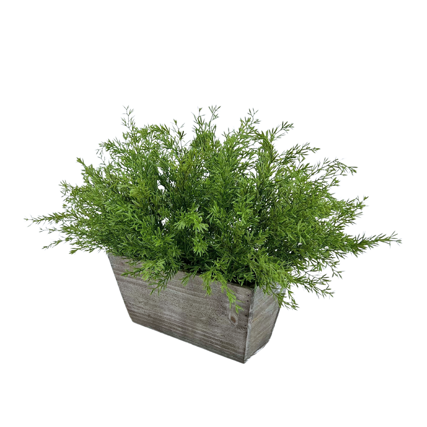 Faux asparagus fern in gray wash wood mini ledge, at an angle, against a white background, by House of Silk Flowers.