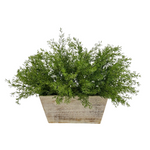 Faux asparagus fern in white wash wood mini ledge against a white background, by House of Silk Flowers.