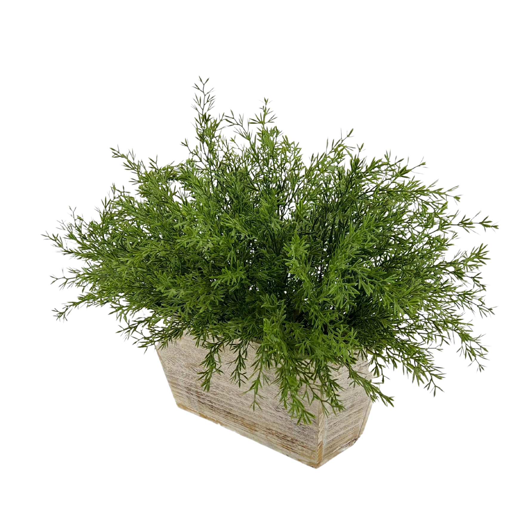Faux asparagus fern in white wash wood mini ledge, shown at an angle, against a white background, by House of Silk Flowers.