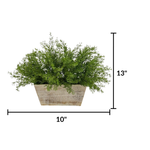Faux asparagus fern in white wash wood mini ledge against a white background, featuring measurements, by House of Silk Flowers.