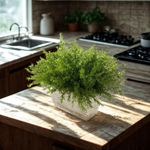 Faux asparagus fern in white wash wood mini ledge on a kitchen counter, by House of Silk Flowers.