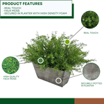 Faux asparagus fern in gray wash wood mini ledge against a white background, highlighting product features, by House of Silk Flowers.