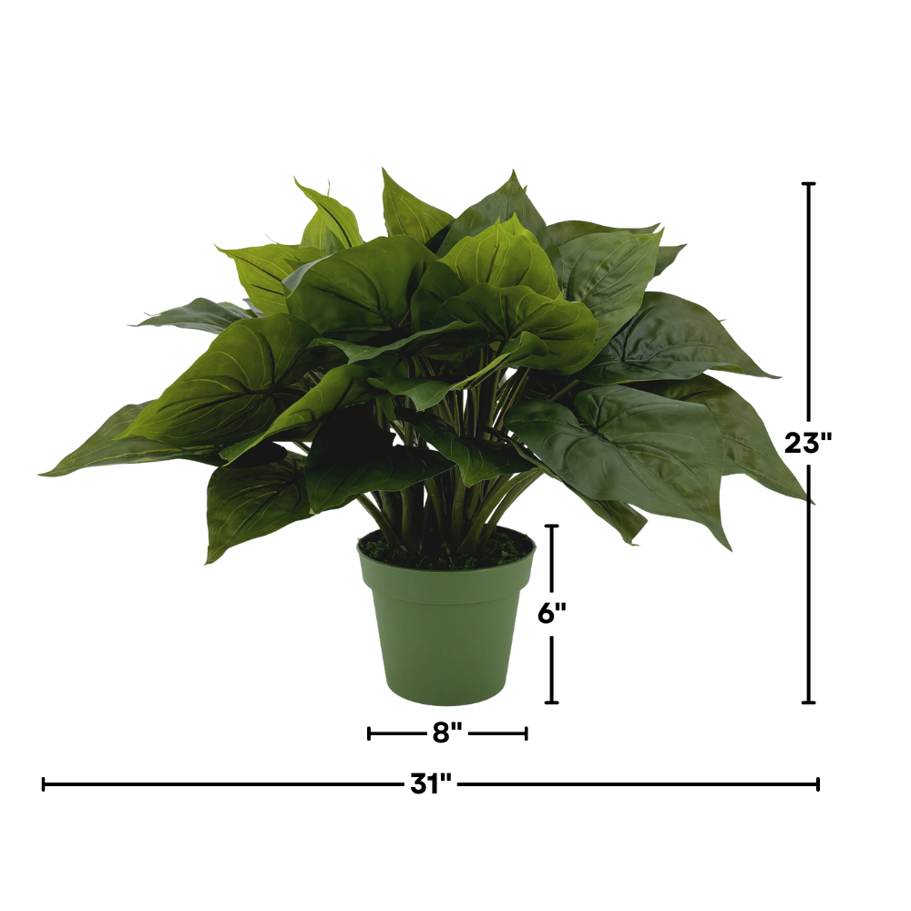 Large faux Green Caladium in green nursery pot, featuring measurements, against white background.