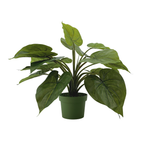 Small Faux Green Caladium in green nursery pot, against white background.