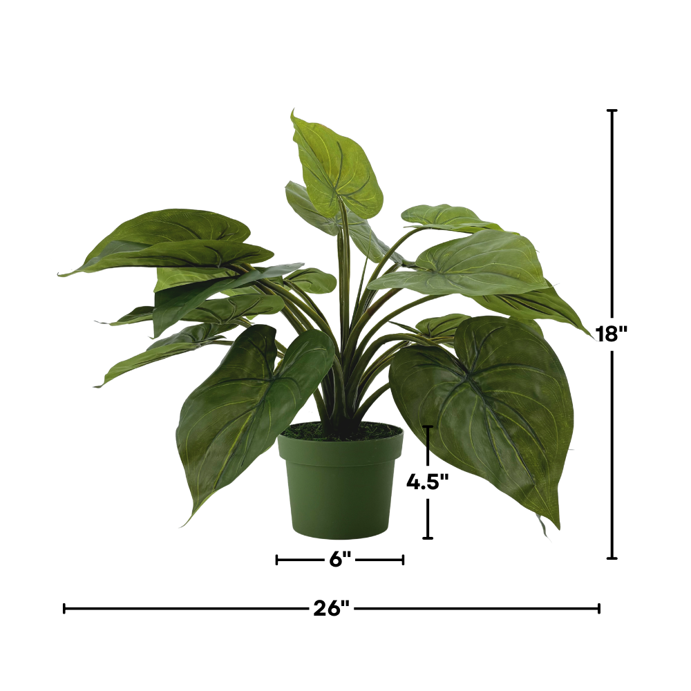 Small faux Green Caladium in green nursery pot, featuring measurements, against white background.