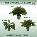 Three faux Green Caladiums in green nursery pots, showing sizing options, against green-white gradient background.