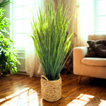 Seagrass in hyacinth basket featured in living room area
