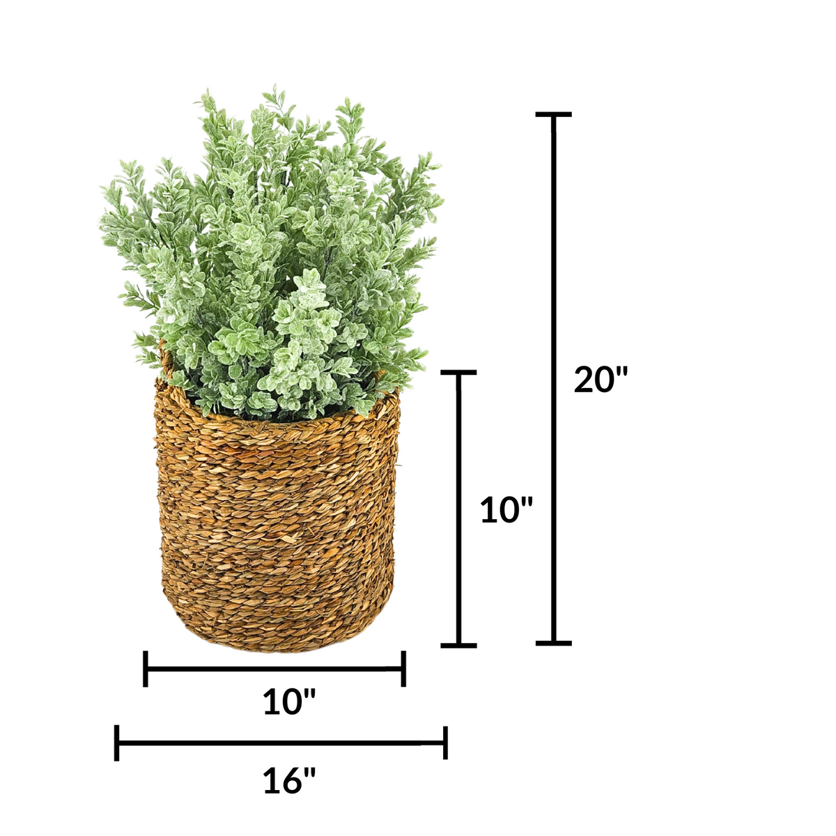 Artificial 20" Eucalyptus in Small Woven Basket Measurements