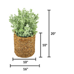 Artificial 20" Eucalyptus in Small Woven Basket Measurements