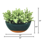 Green potted plant in a black pot with dimensions indicated on a white background