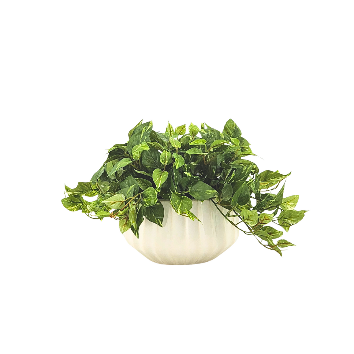 Artificial green plant in a white pot on a white background