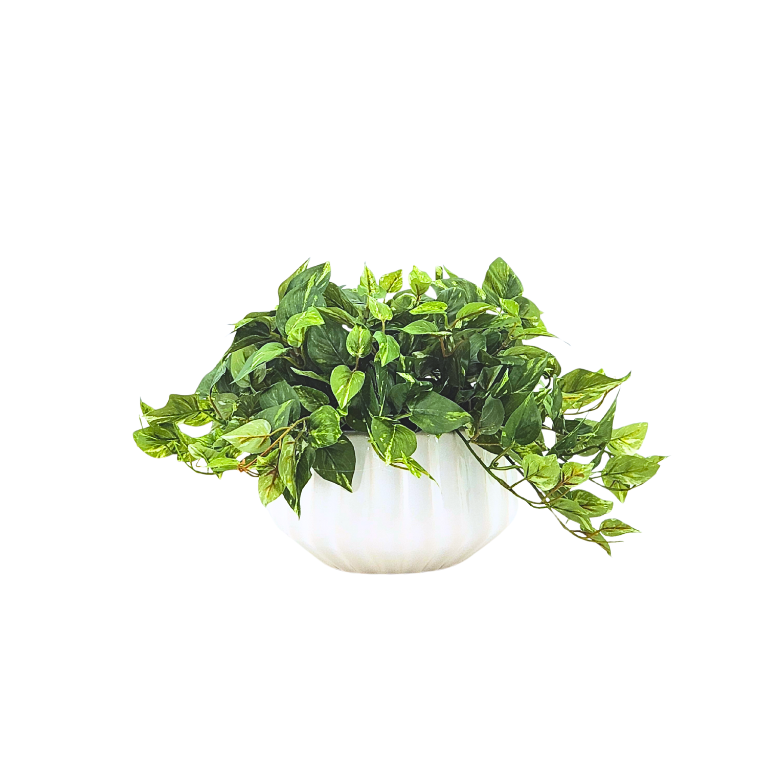 Artificial green plant in a white pot on a white background by House of Silk Flowers