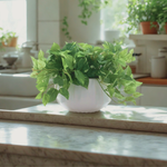 Faux 10" pothos in white prism ceramic on a kitchen countertop, by House of Silk Flowers.
