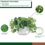 Faux 10" pothos in white prism ceramic against a white background, highlighting product features, by House of Silk Flowers.
