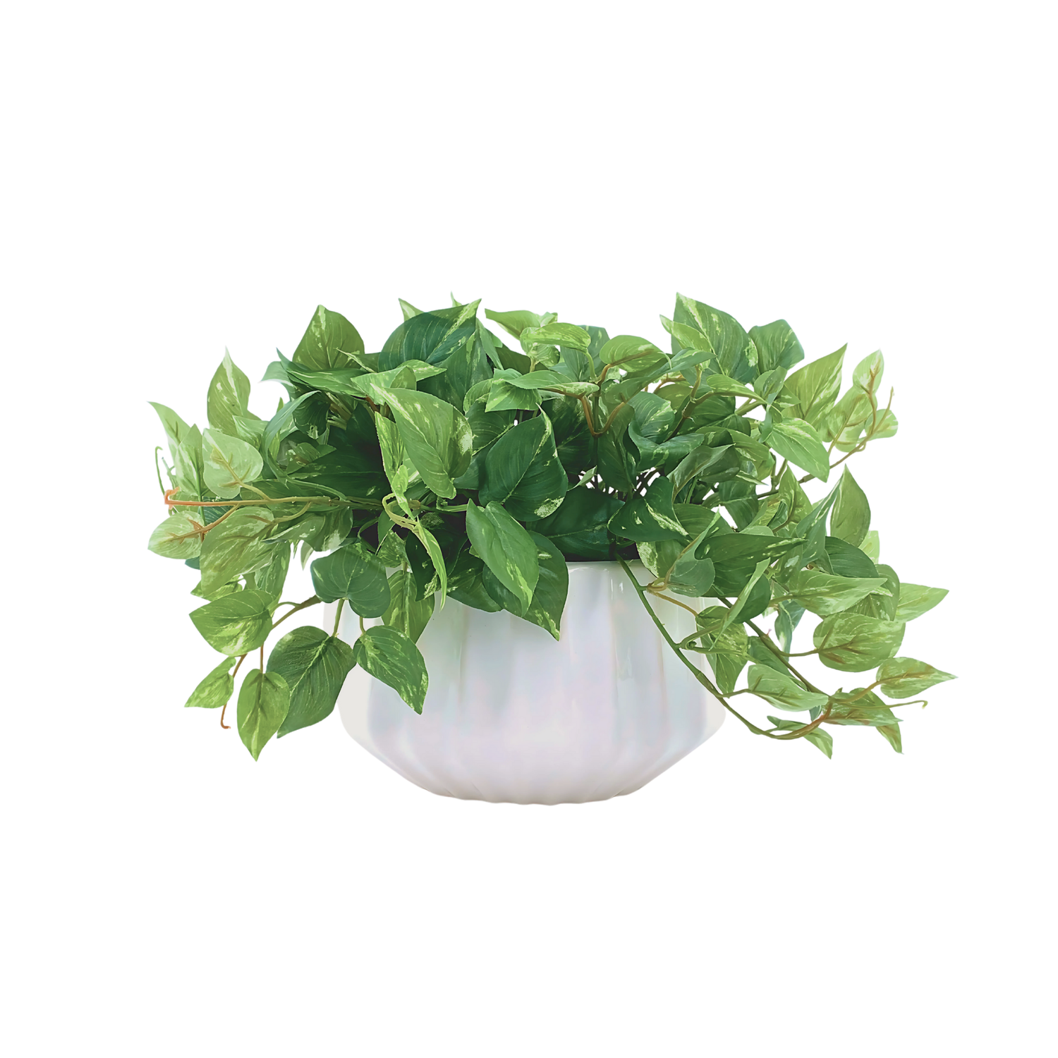 Faux 10" pothos in white prism ceramic against a white background, by House of Silk Flowers.