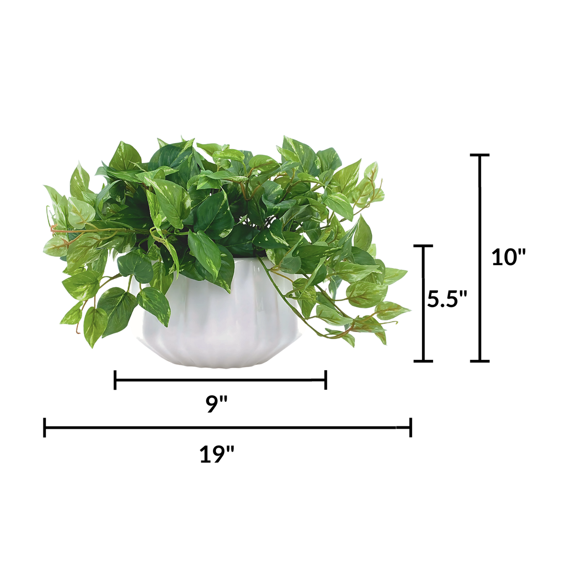 Faux 10" pothos in white prism ceramic against a white background, featuring measurements, by House of Silk Flowers.
