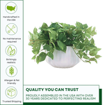 Faux 10" pothos in white prism ceramic against a white background, featuring quality assurances, by House of Silk Flowers.