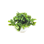 Artificial green plant in a white pot on a white background by House of Silk Flowers