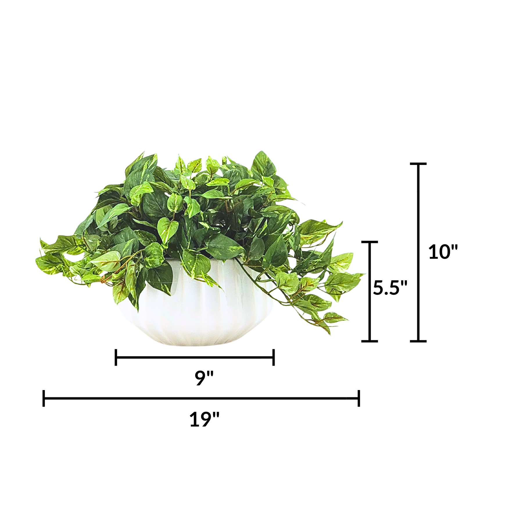 Artificial green plant in a white pot with measurements on a white background by House of Silk Flowers