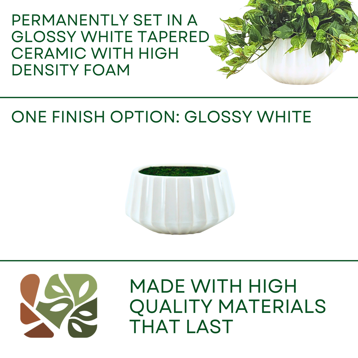 Artificial green plant in a white pot on a white background with options by House of Silk Flowers