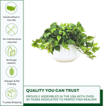 Artificial green plant in a white pot on a white background with quality assurances by House of Silk Flowers