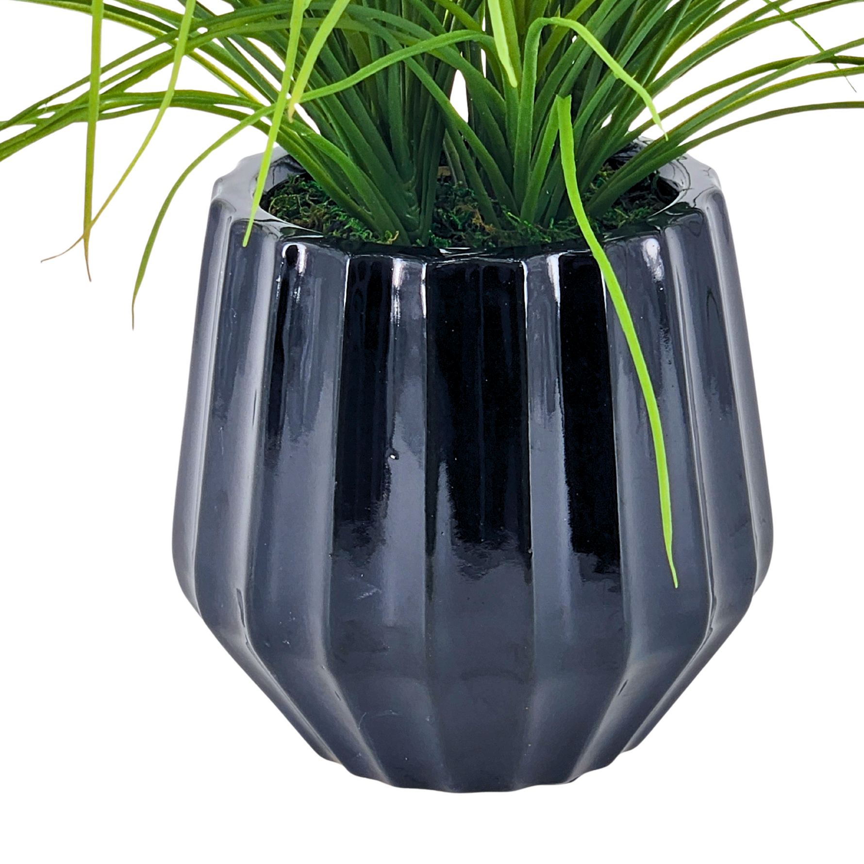 Black geometric pot with green plant on a white background