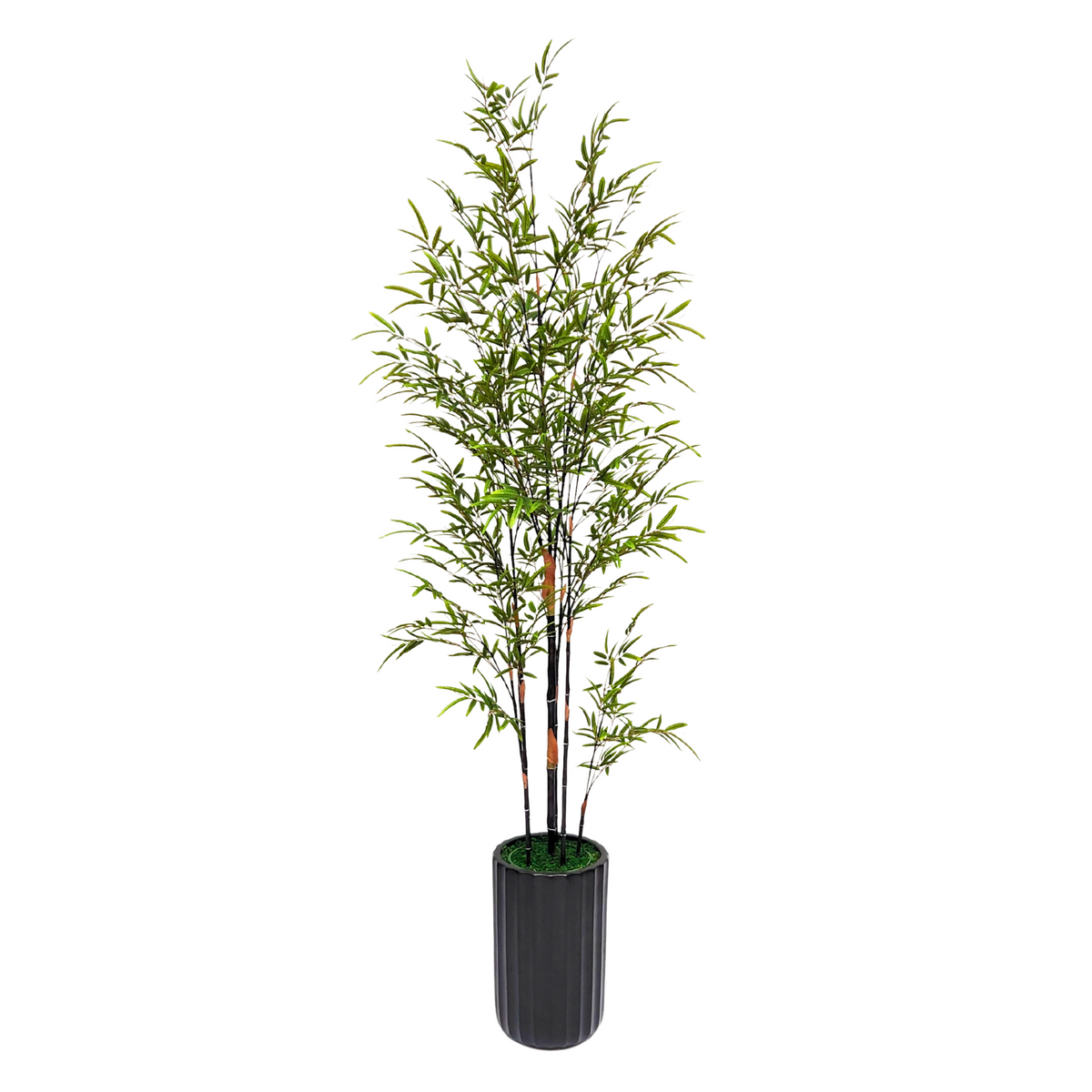 Bamboo Plant in Matte Black Cylinder Ceramic by House of Silk Flowers