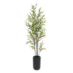 Bamboo Plant in Matte Black Cylinder Ceramic by House of Silk Flowers