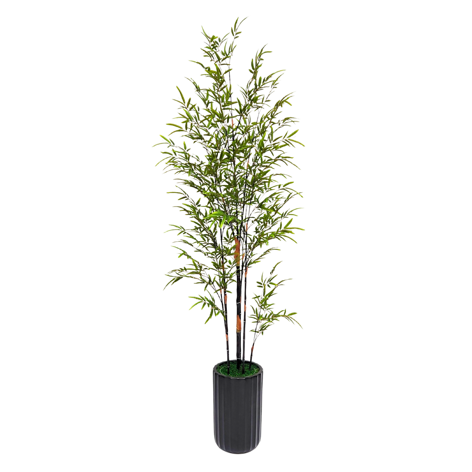 Bamboo Plant in Matte Black Cylinder Ceramic by House of Silk Flowers