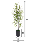 Bamboo Plant in Matte Black Cylinder Ceramic by House of Silk Flowers measurements