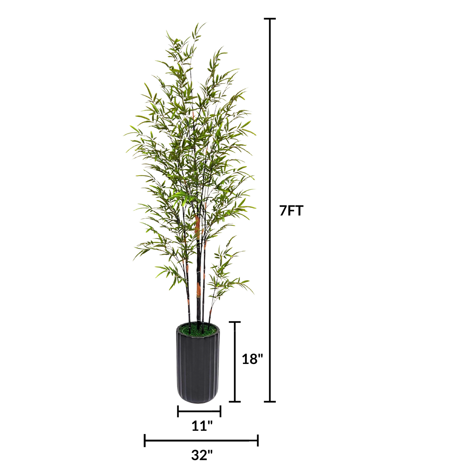 Bamboo Plant in Matte Black Cylinder Ceramic by House of Silk Flowers measurements