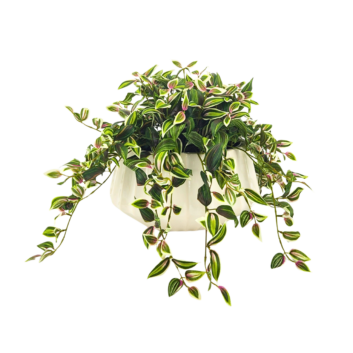 Faux Wandering Jew in Glossy White Oval Prism Ceramic by House of Silk Flowers