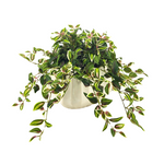 Faux Wandering Jew in Glossy White Oval Prism Ceramic by House of Silk Flowers
