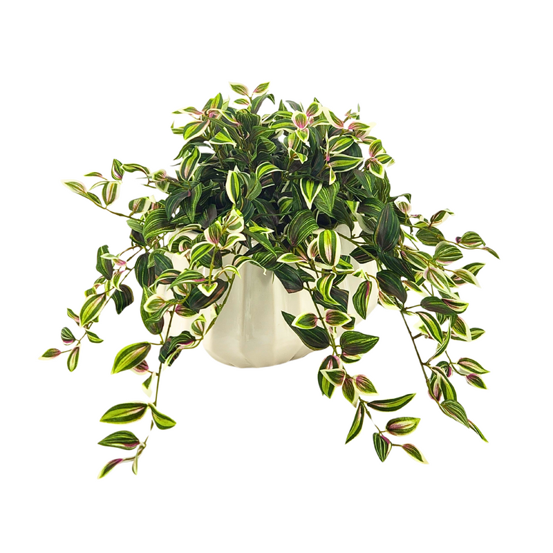 Faux Wandering Jew in Glossy White Oval Prism Ceramic by House of Silk Flowers