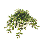 Faux Wandering Jew in Glossy White Oval Prism Ceramic by House of Silk Flowers
