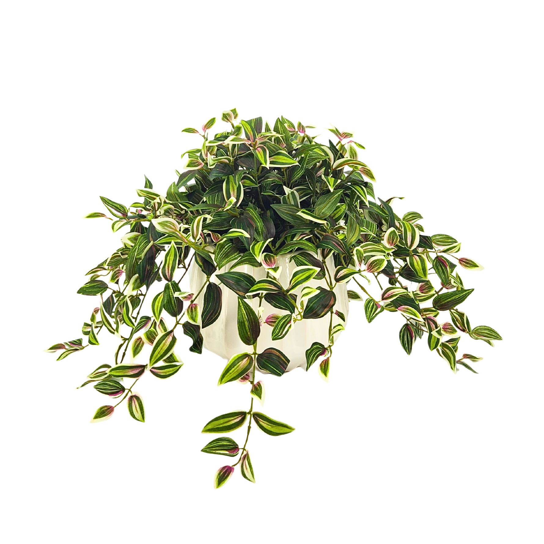 Faux Wandering Jew in Glossy White Oval Prism Ceramic by House of Silk Flowers