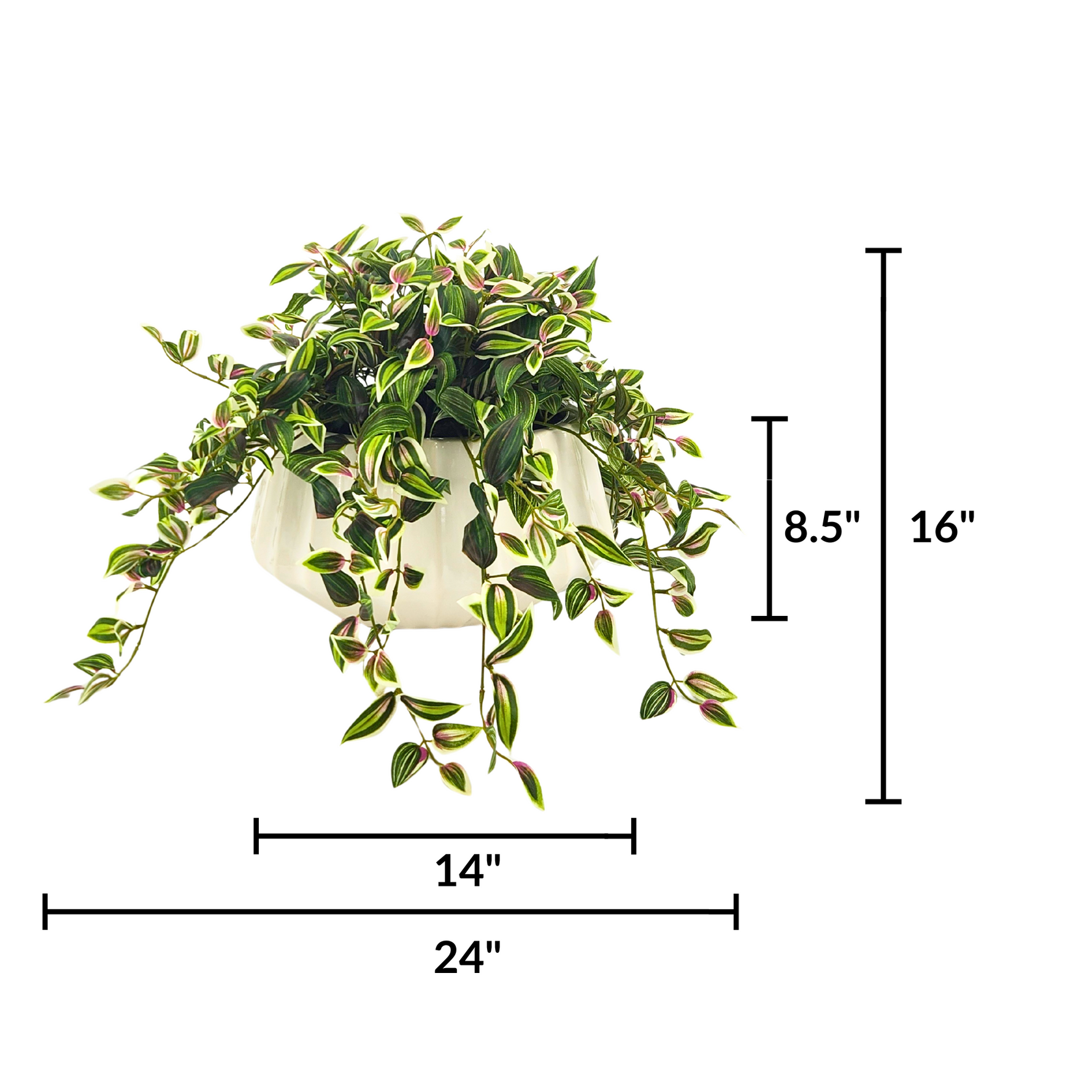 Faux Wandering Jew in Glossy White Oval Prism Ceramic by House of Silk Flowers measurements