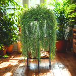 Hanging Grass in rustic metal container by House of Silk Flowers environment