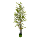 Potted bamboo plant on a white background by House of Silk Flowers