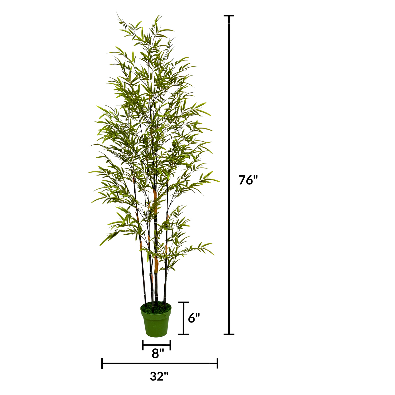 Potted bamboo plant by House of Silk Flowers measurements