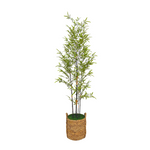 Potted bamboo plant in a woven basket on a white background by House of Silk Flowers