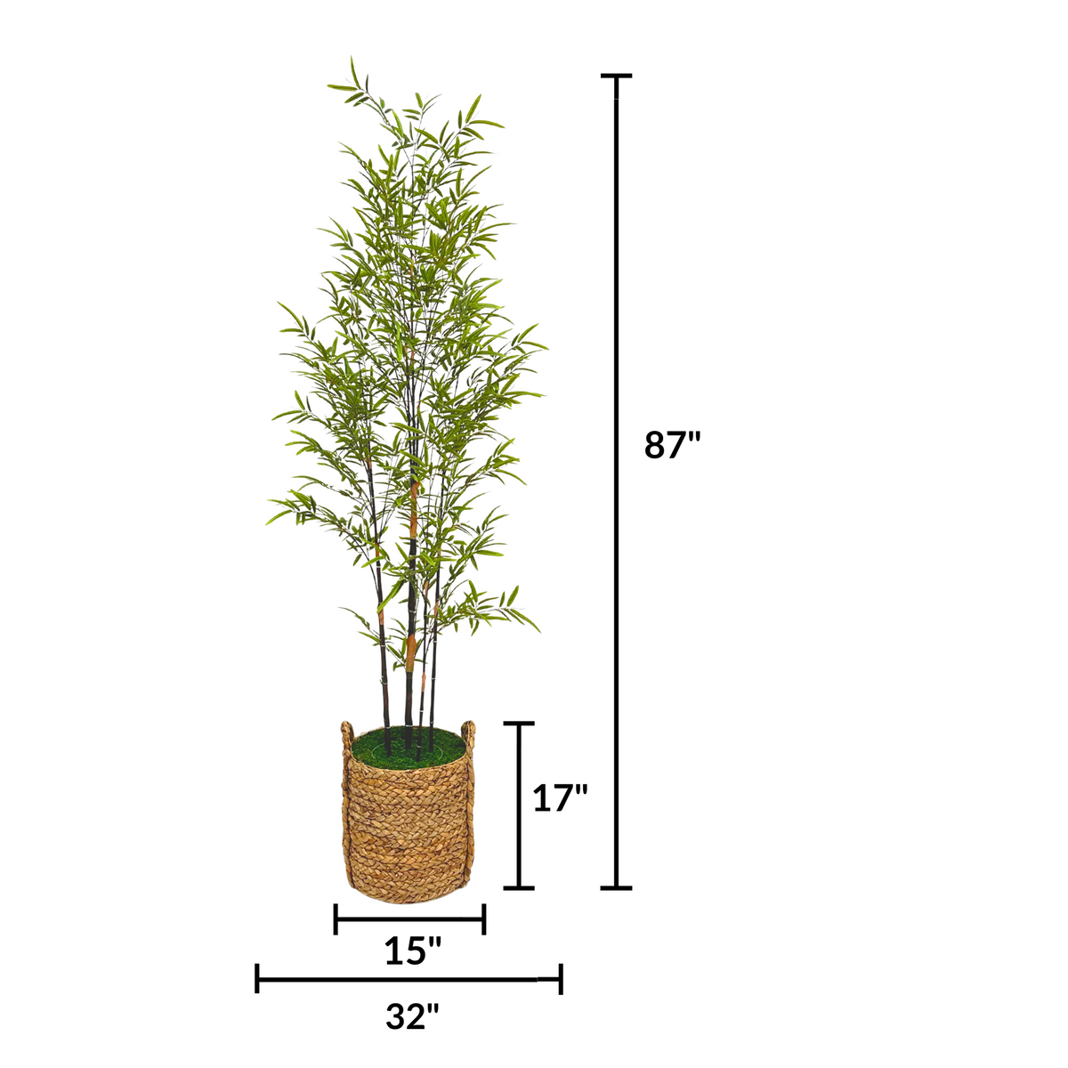 Potted bamboo plant in a woven basket on a white background by House of Silk Flowers measurements