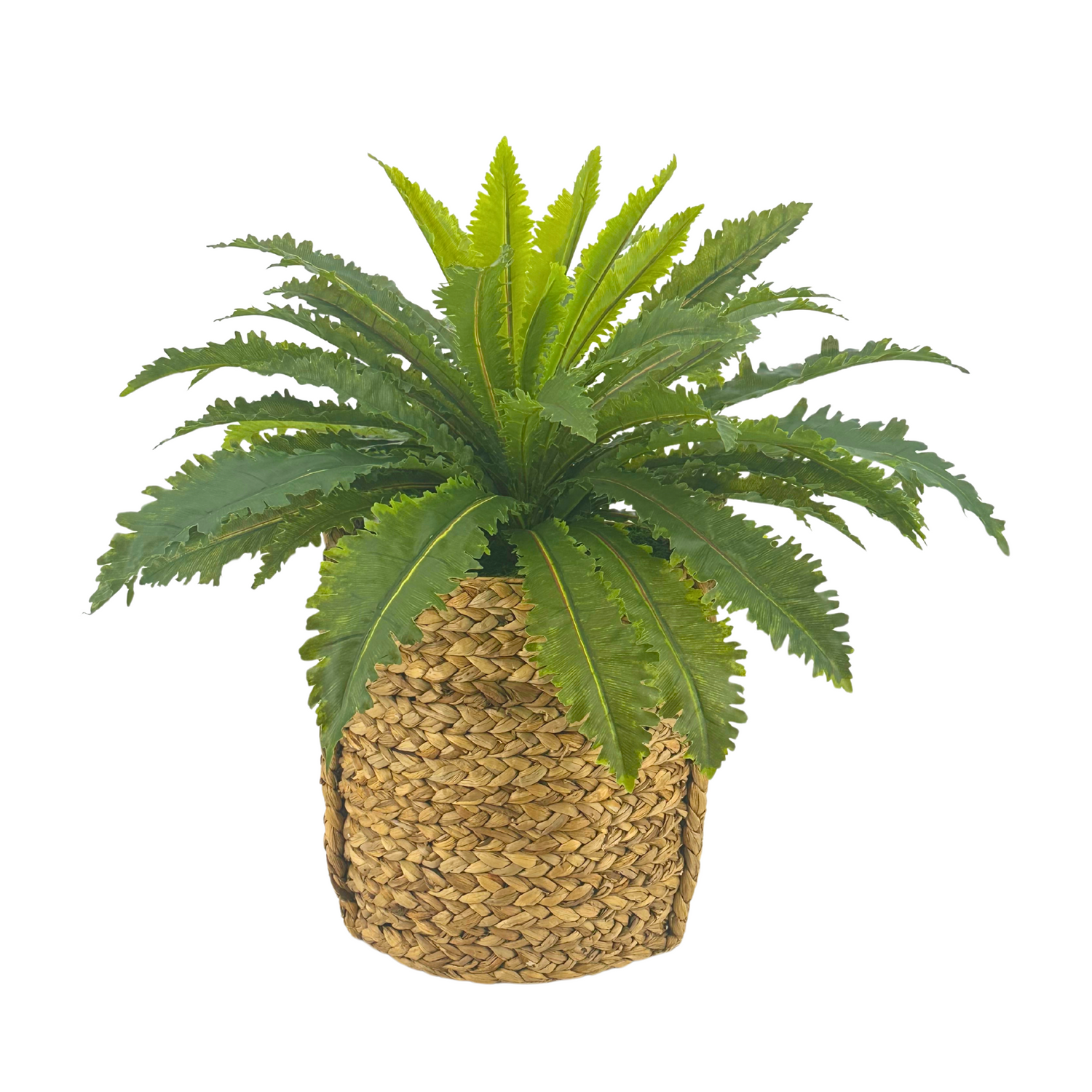 Marganitum in woven basket by House of Silk Flowers