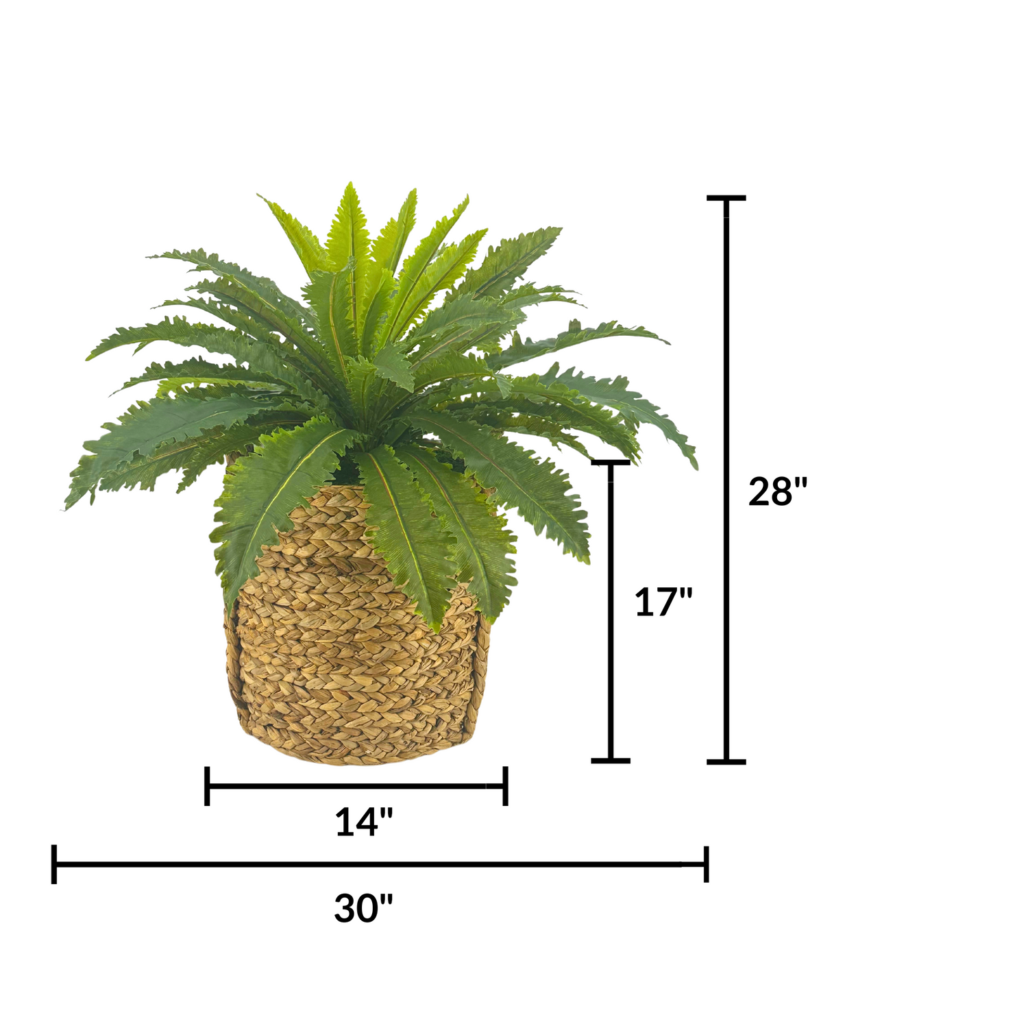 Marganitum in woven basket by House of Silk Flowers measurements