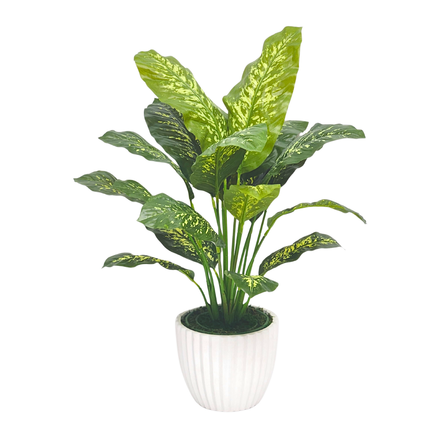 Spathphyllum in Stone White Ceramic by House of Silk Flowers